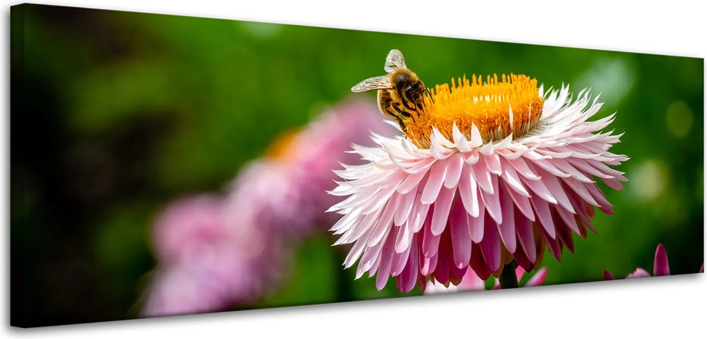 Vászonkép Botanika Méh és virág 120x40
