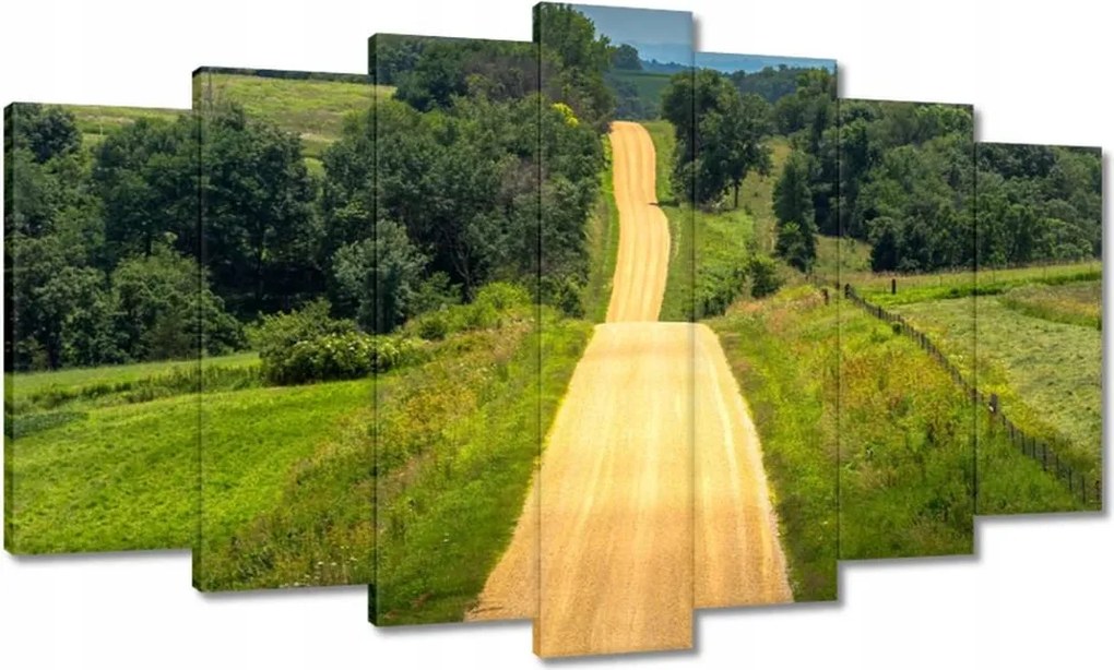 Vászonkép 140x80 Út Rét Mező Erdő