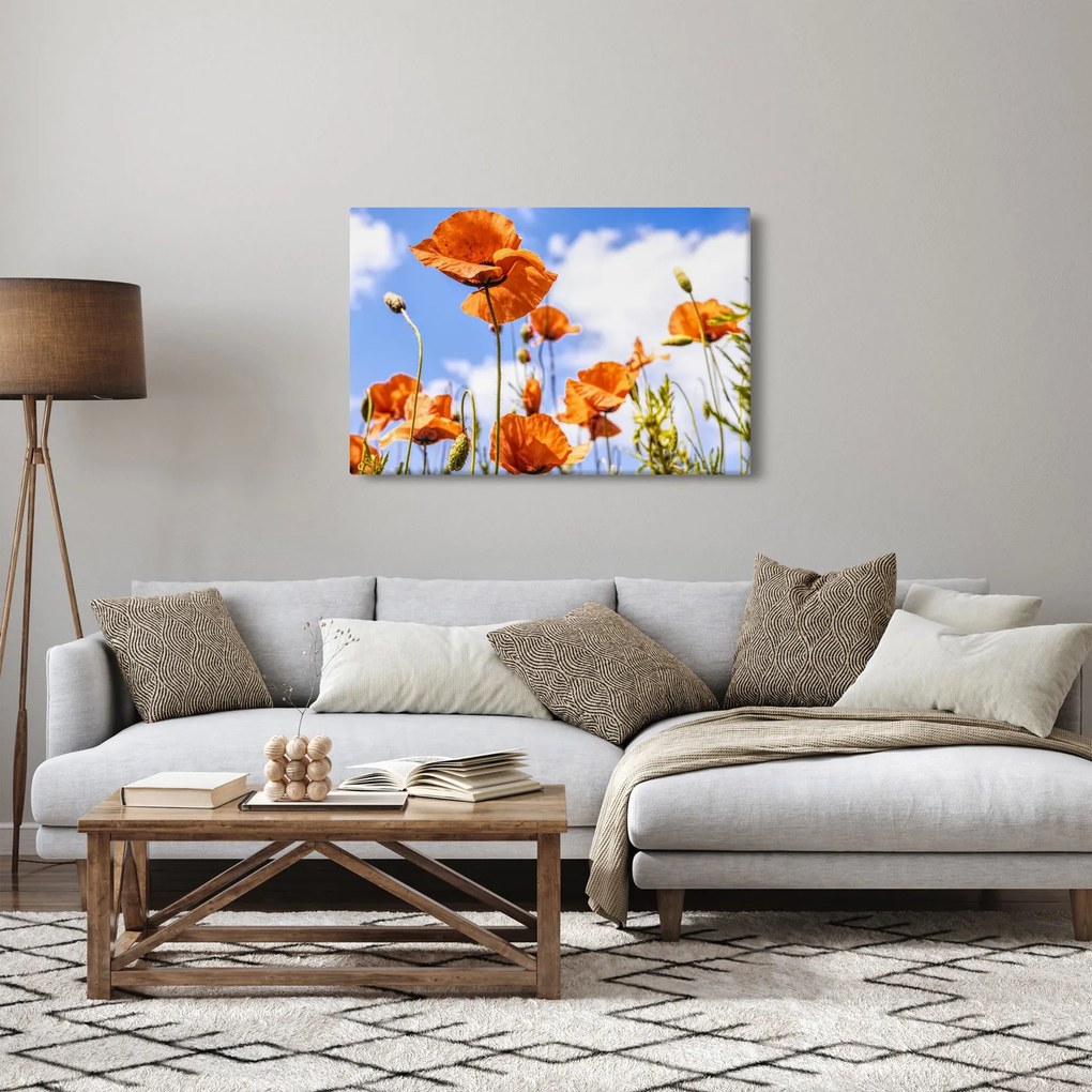 Pipacsok képe (90x60 cm)