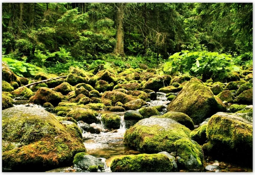 Poszterek 200x135 Tátra Lengyel hegyek Kilátás