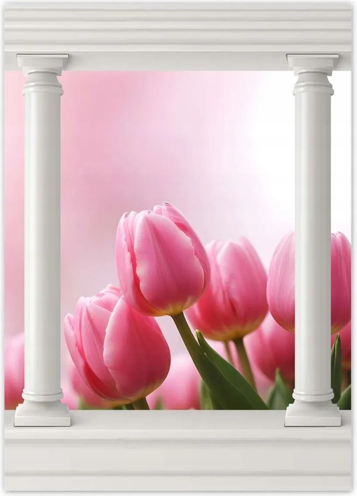 Poszterek 50x70 Rózsaszín tulipánok