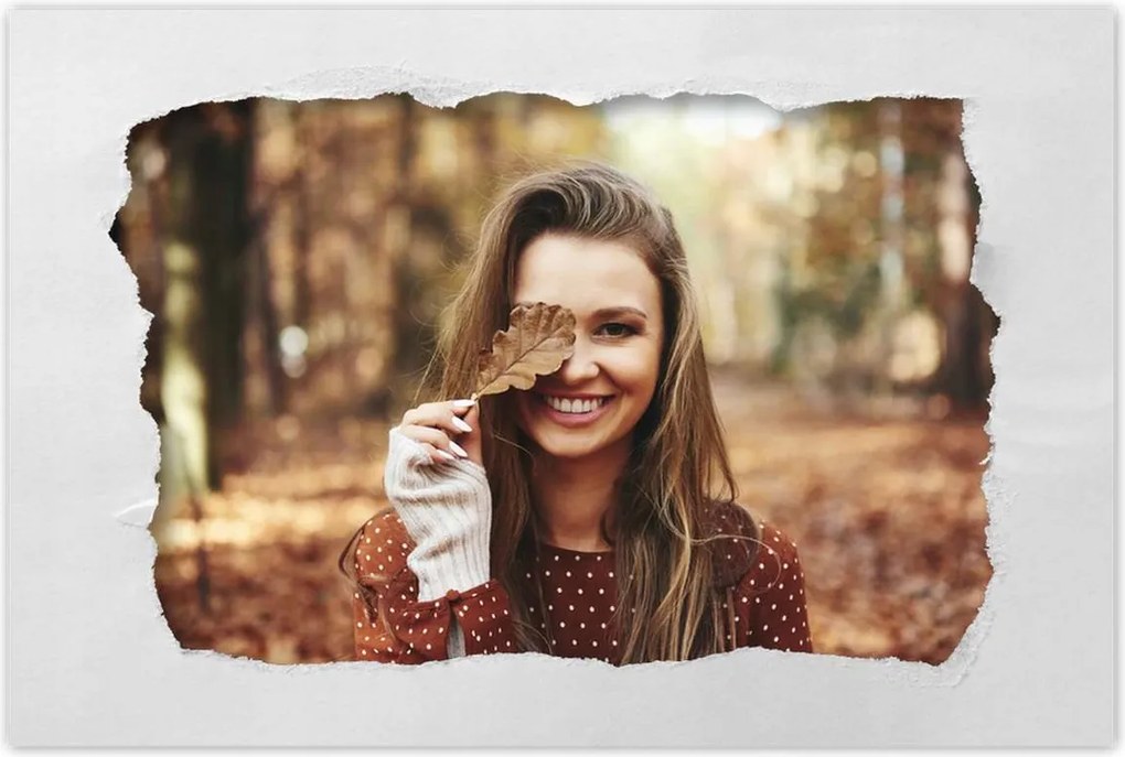 Poszterek 60x40 Őszi levelek Ősz