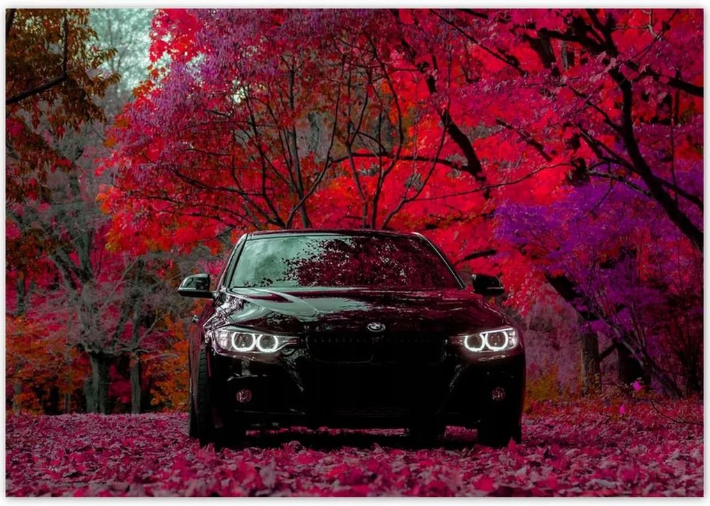 Poszterek 100x70 Fekete Bmw Ősz