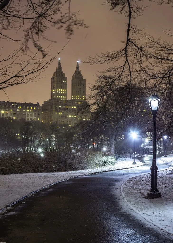 Poszter 50x70cm Ösvény a központi parkon át, Assaf Frank