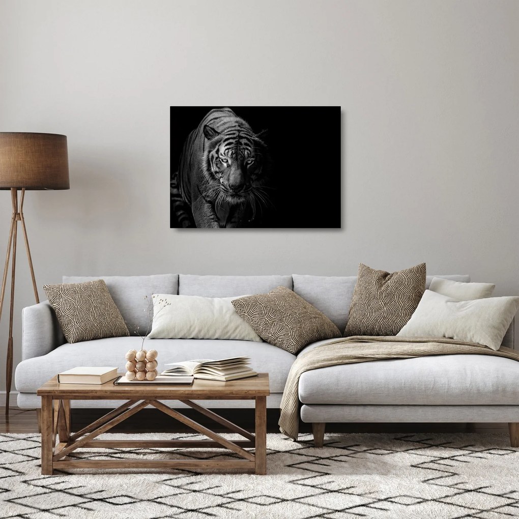 Egy vadtigris képe (üvegen) (70x50 cm)