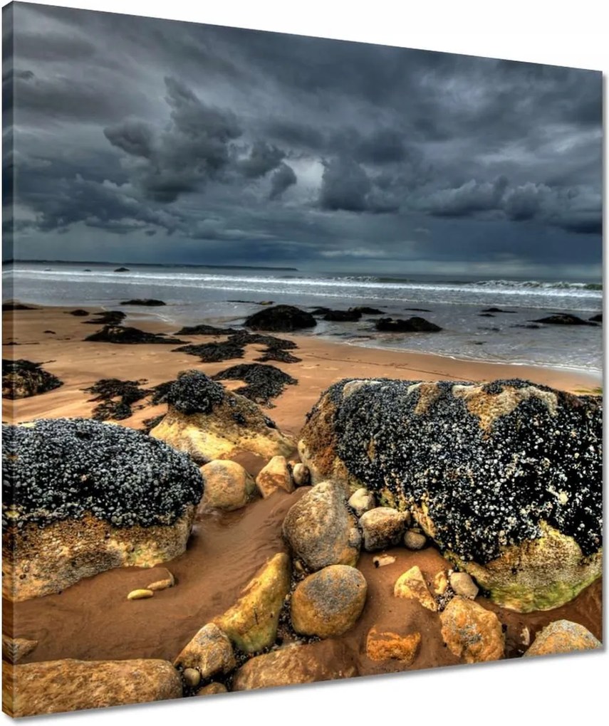 Vászonkép 50x50 Kő tengerpart Tenger