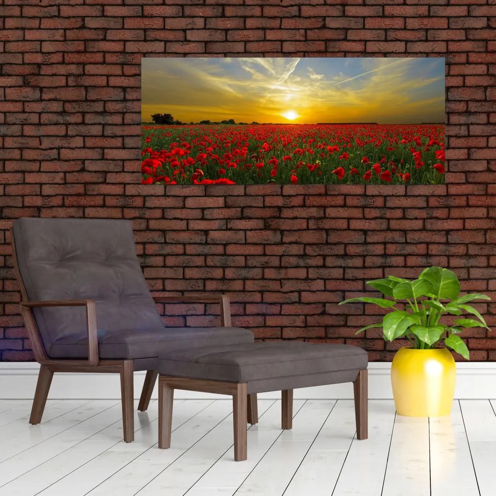 Egy kép a pipacs mezőről (120x50 cm)