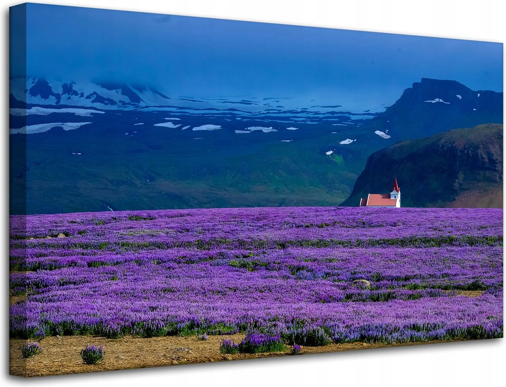 Vászonkép Canvas Natura Lila Levendulamező 80x50