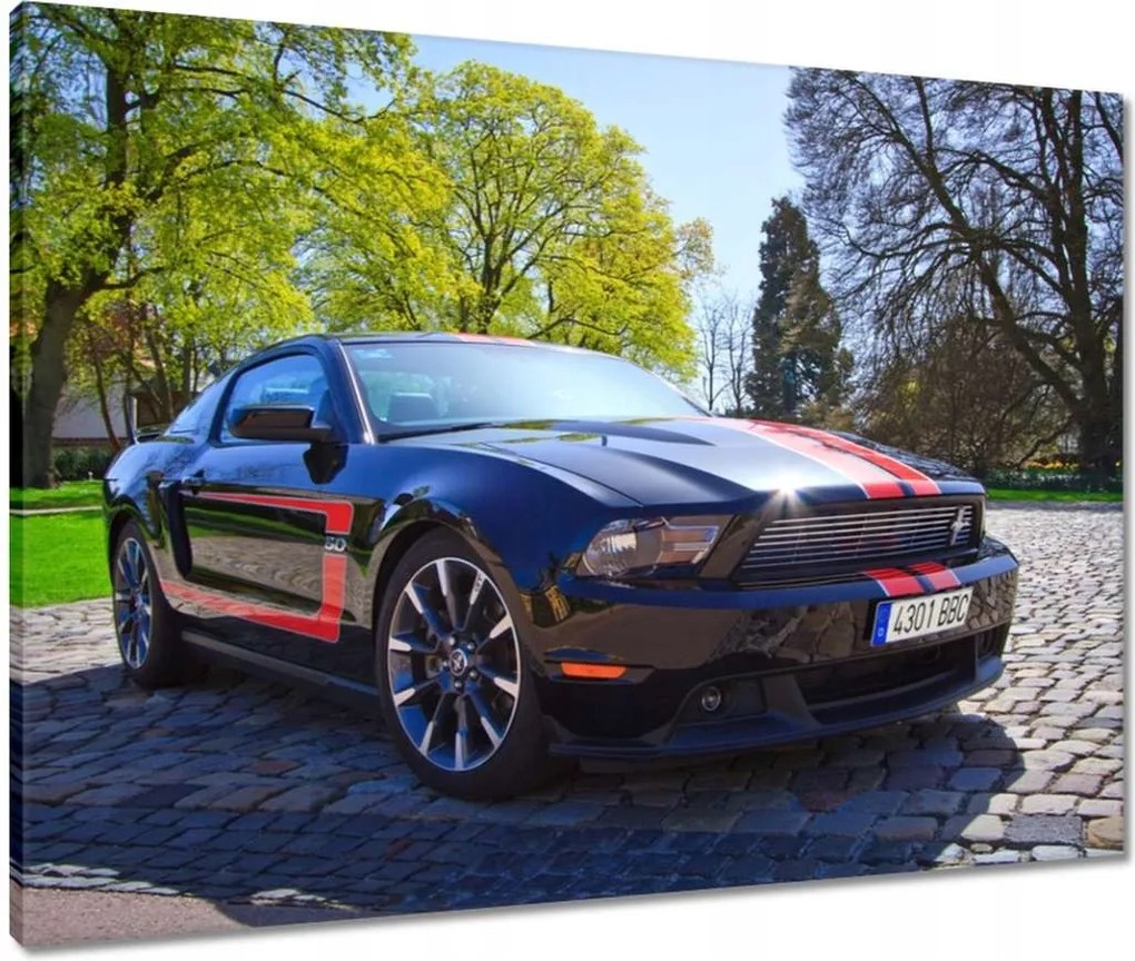 Vászonkép 80x60 Ford Mustang csíkokkal