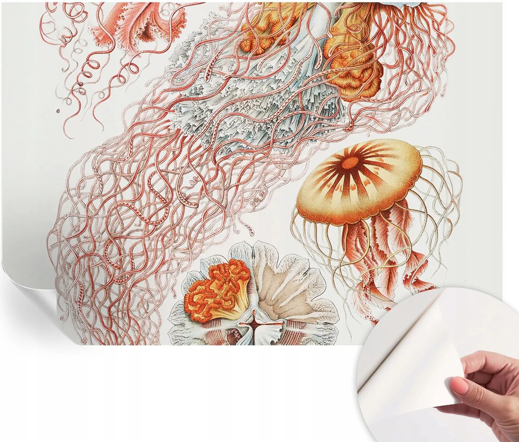 Modern öntapadós fali fotótapéta Fantázia medúzák 152x104 cm