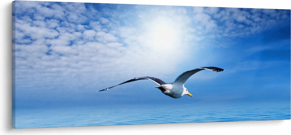 Kép - Sirály a tenger felett (120x50 cm)