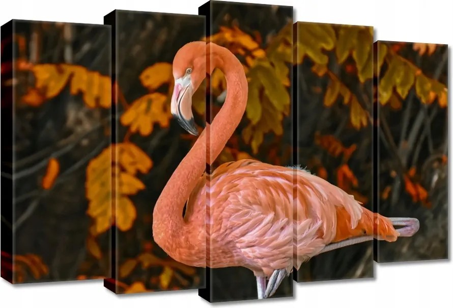 Vászonkép 70x50 Gyönyörű flamingó