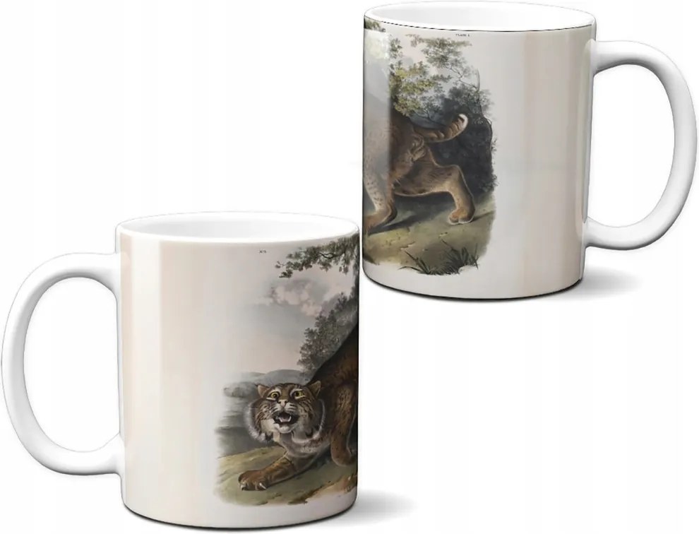 Common American Wildcat James Audubon bögre