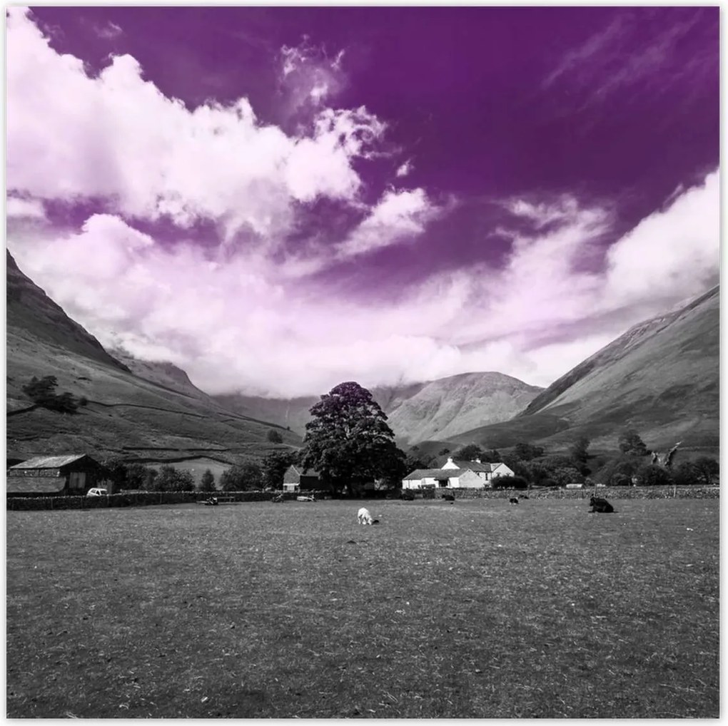 Poszterek 140x140 Lila égbolt