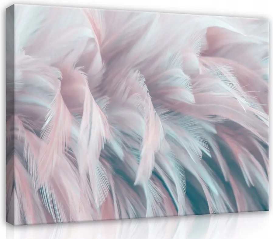 Vászonkép 80x60 Könnyűség finomság toll pasztell nyugalom absztrakt művészet