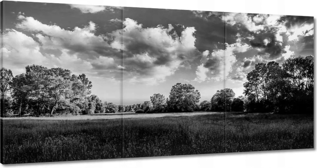 Festmények 180x90 Vidéki réti táj