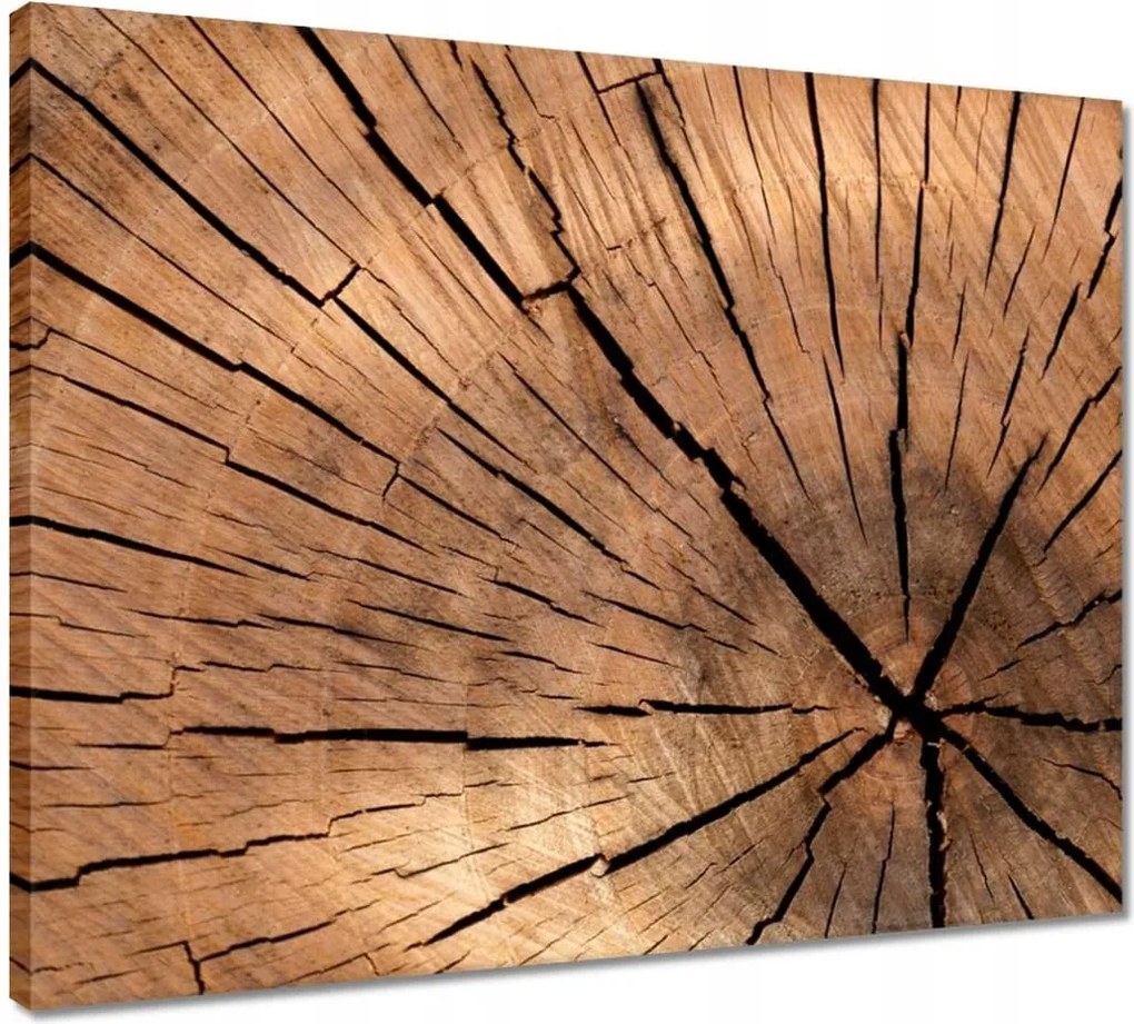 Vászonkép 50x40 Befőttesüvegek