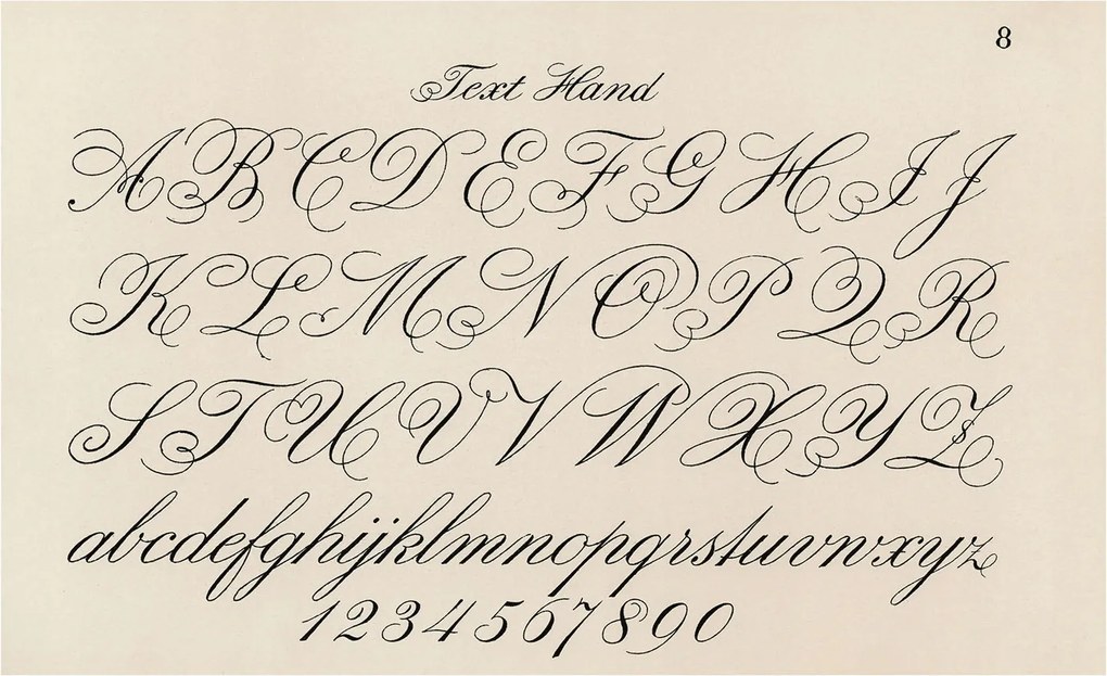 Stílusos Dekoratív fotótapéta Flizelin Kalligrafikus írás 416x254