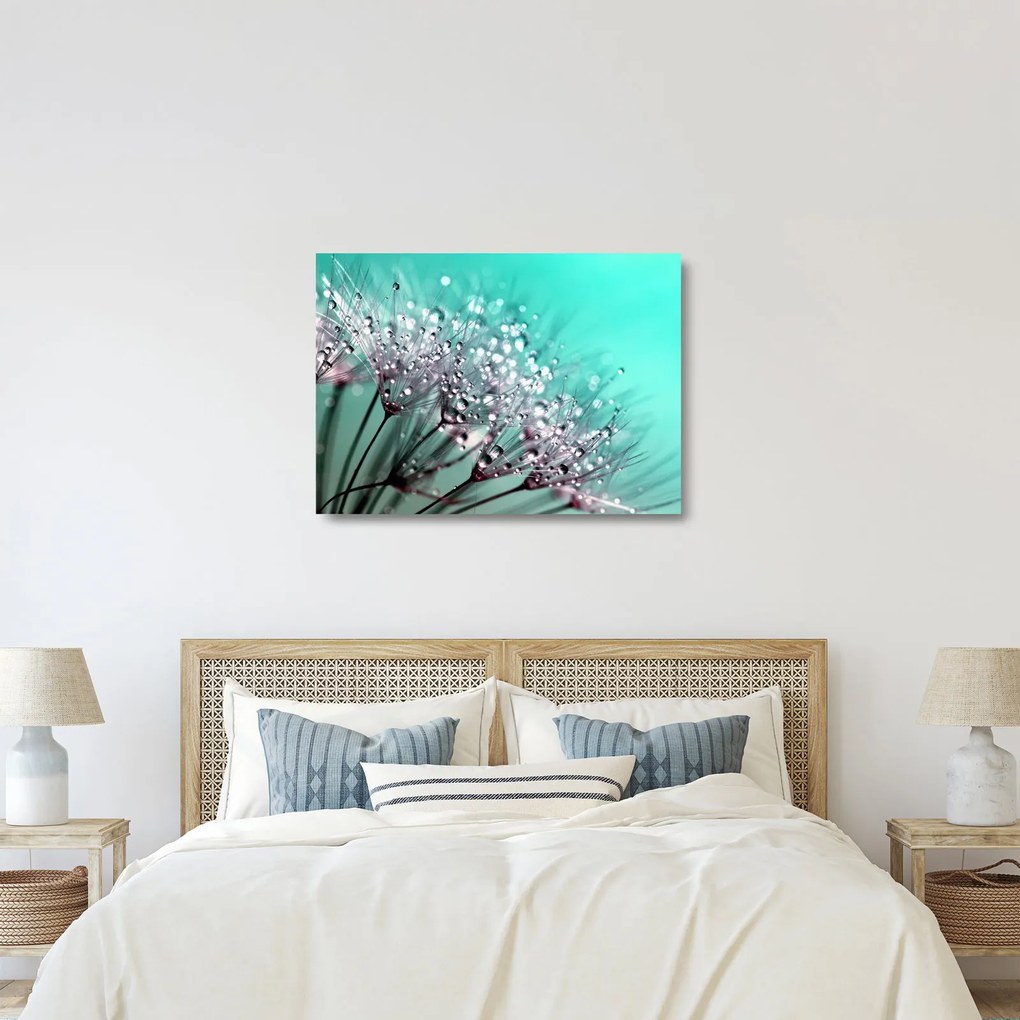 Kép - harmatos növény (üvegen) (70x50 cm)