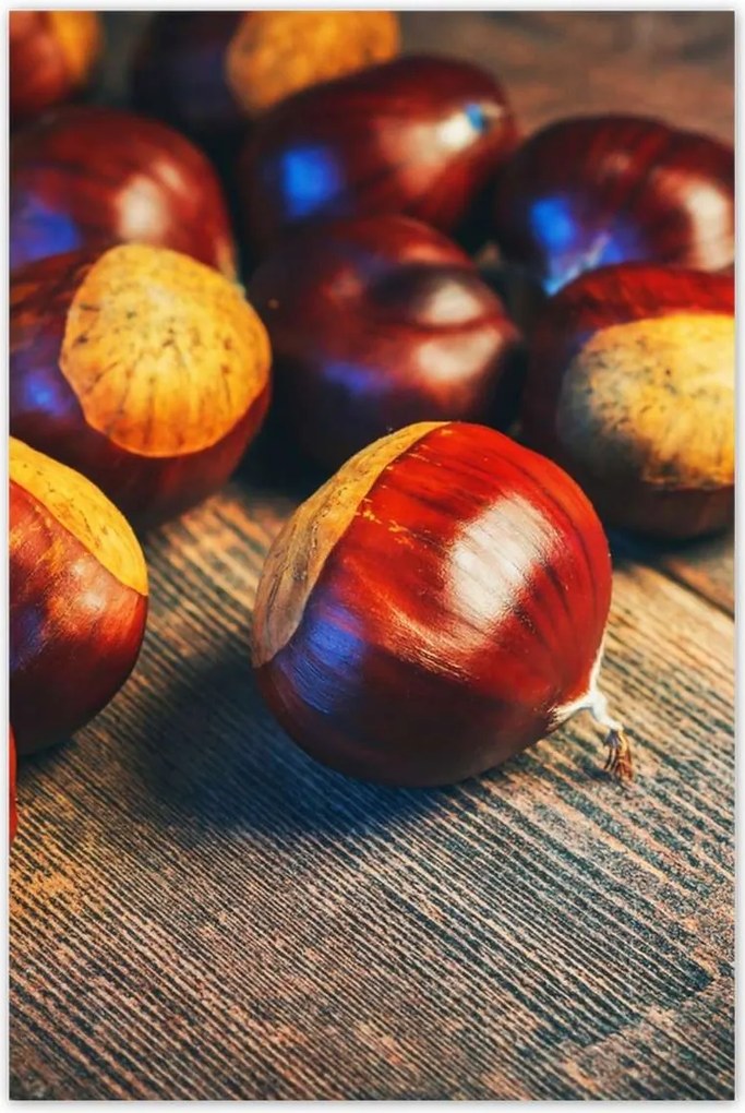 Poszterek 80x120 Dió a deszkán Bronz