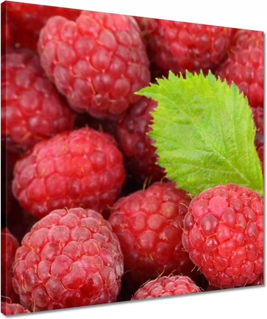 Vászonkép 50x50 Friss málna