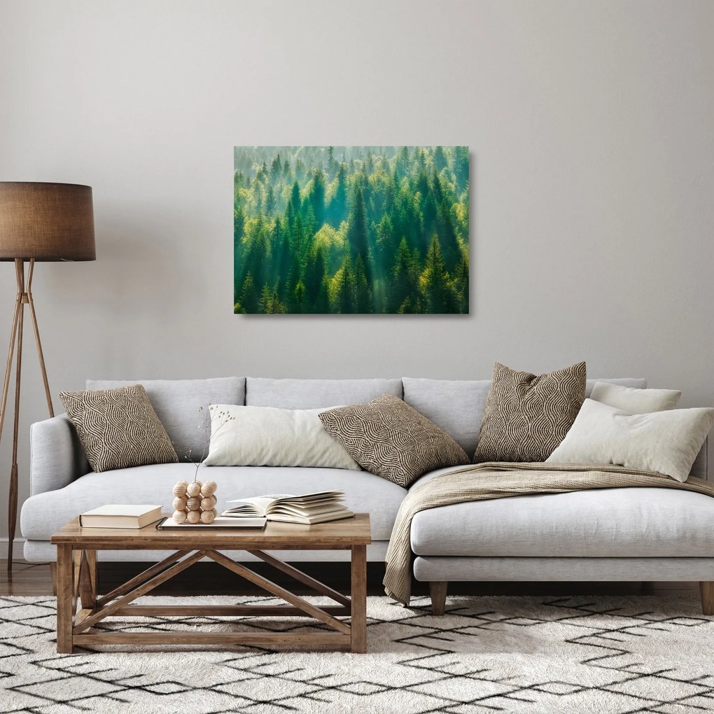 Kép - fenyőerdő (üvegen) (70x50 cm)