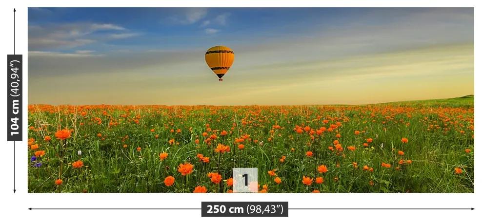 Fotótapéta rét Balloon 104x70 cm