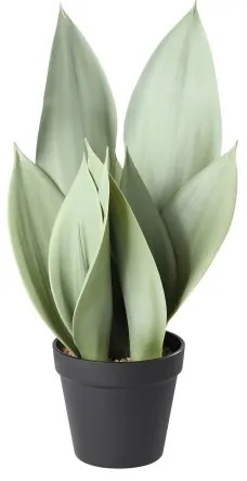 Eglo 428387 - Műnövény virágcserépben TOBETSU 41,5x28,5 cm