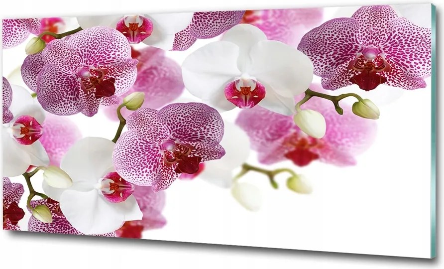 Fotó vászonkép edzett üveg Orchidea 100x70
