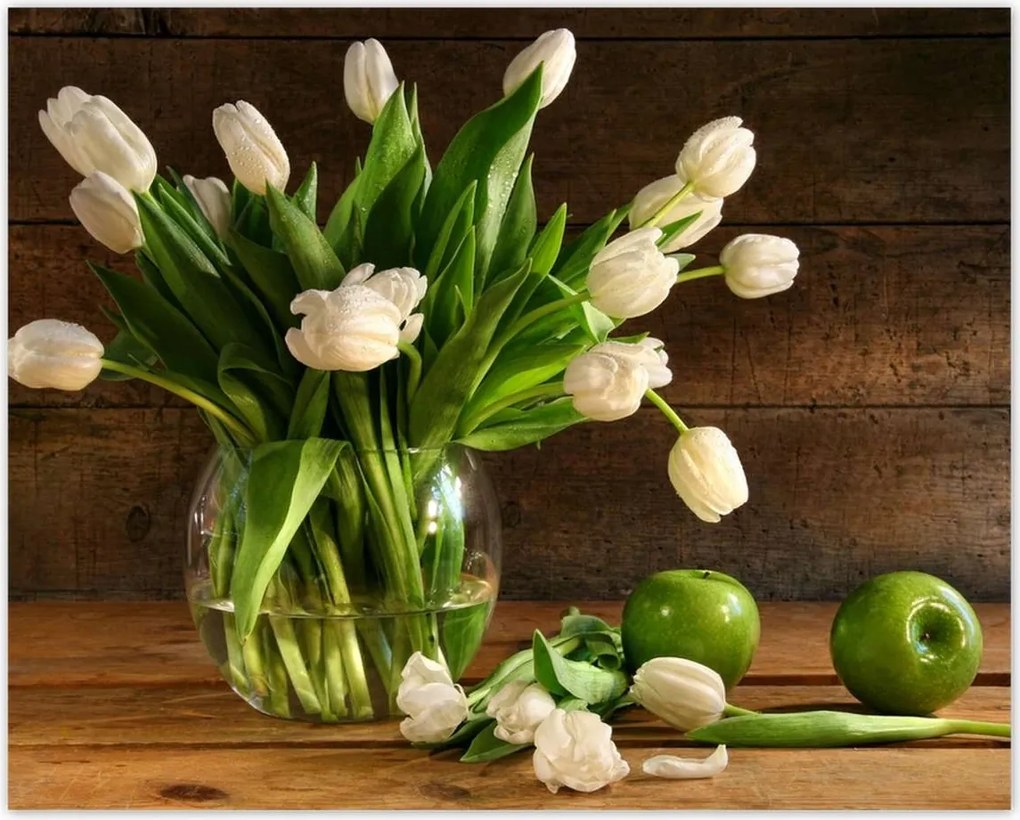 Poszterek 50x40 Fehér tulipánok Deszka