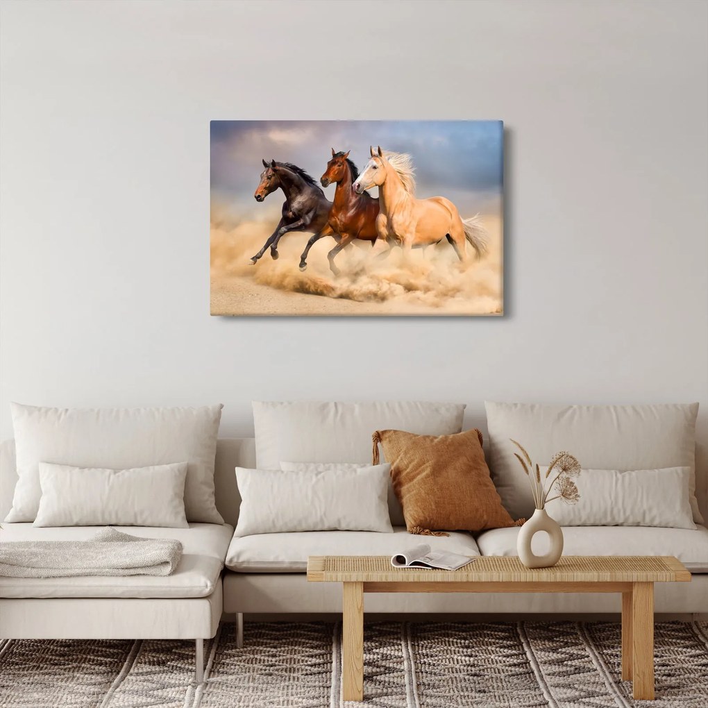 Kép - Vad lovak (90x60 cm)