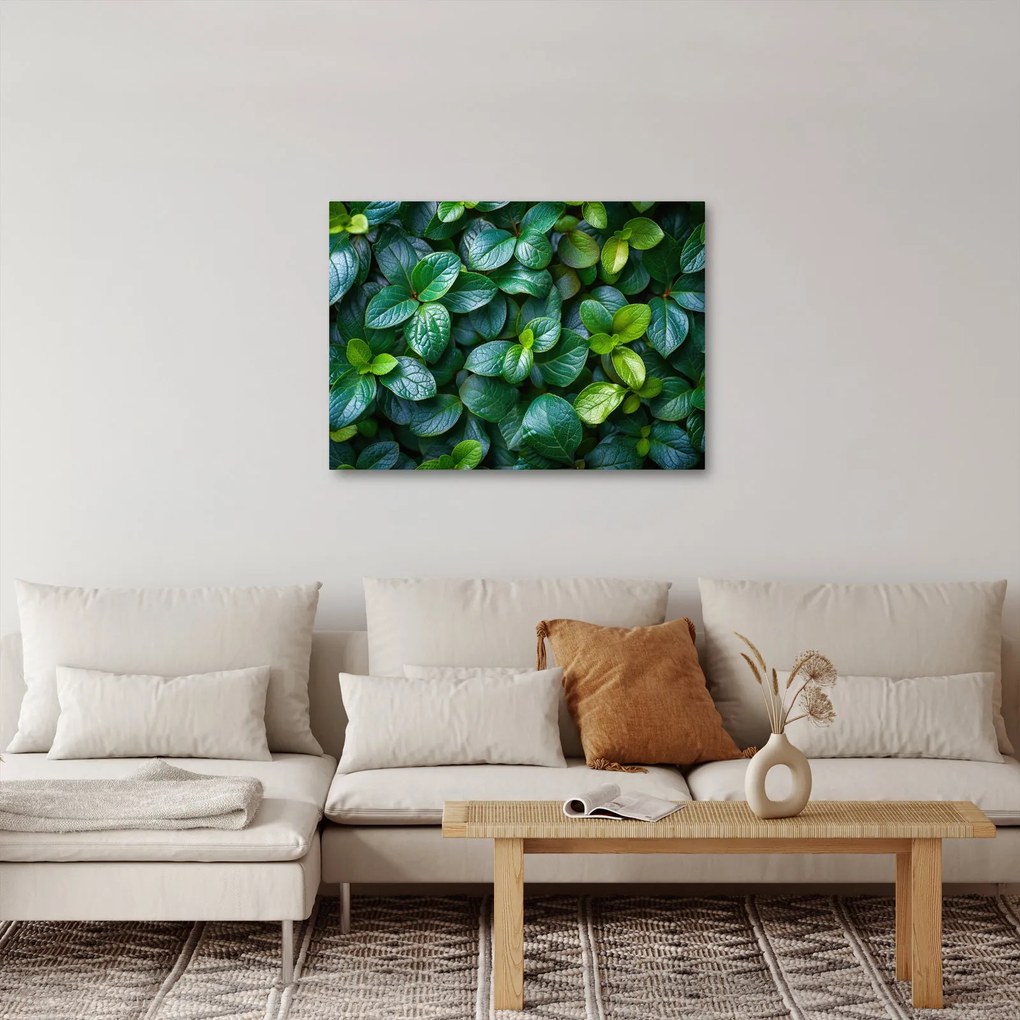 Kép - Zöld növények (70x50 cm)