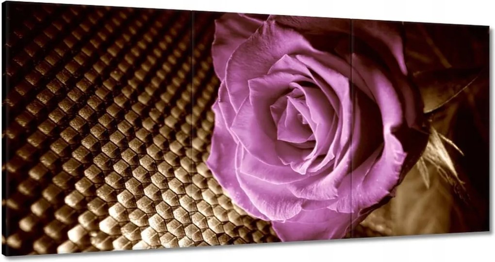 Vászonkép 180x90 Rózsa Lila és szépia