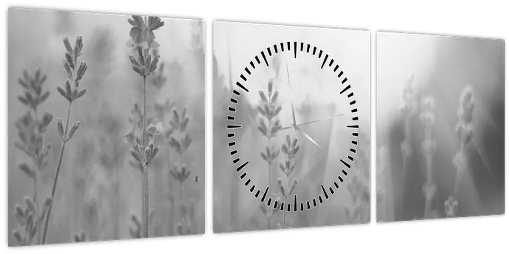 Kép - Levendula (órával) (90x30 cm)