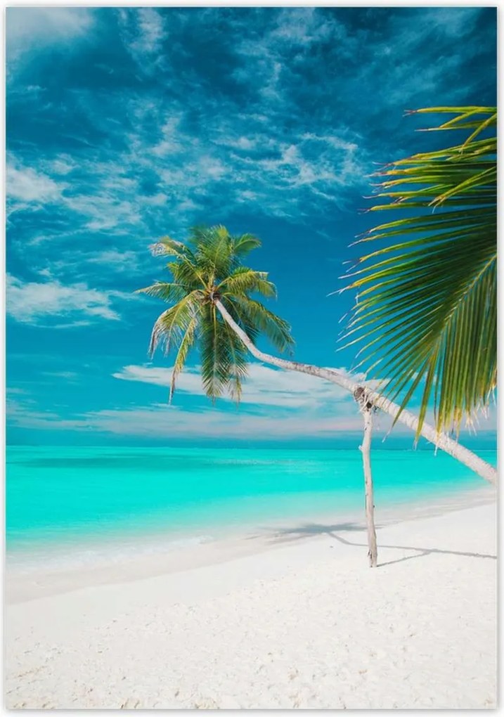 Poszterek 70x100 Tájkép Látvány