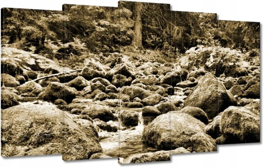 Képek 100x60 Tátra Lengyel hegyek Kilátás