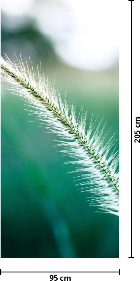 Fotótapéta ajtóra - Fűszál (95x205cm)