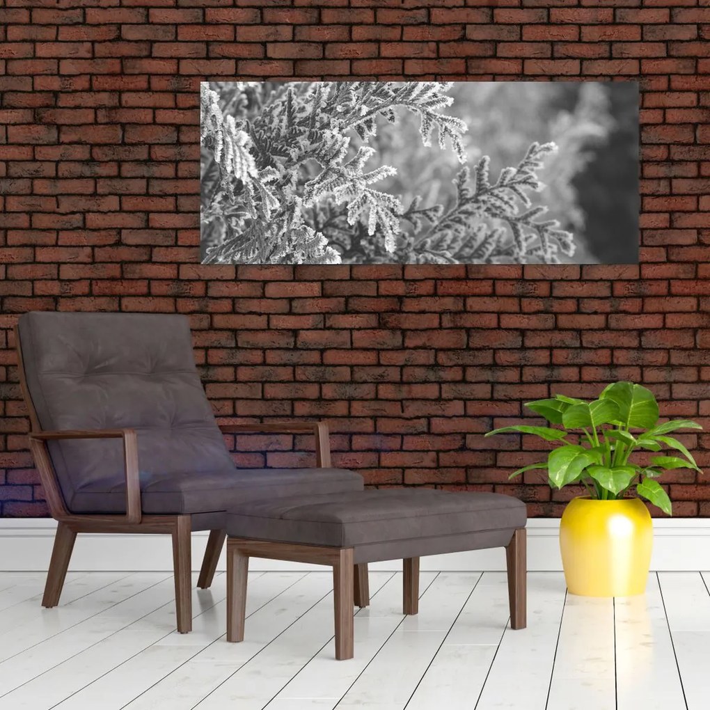 Kép - Lucfenyő erdő (120x50 cm)