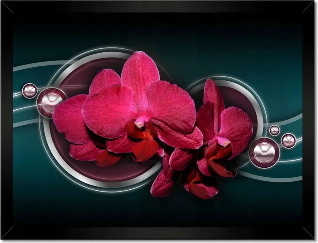 Poszterek keretben 40x30 Lila orchidea