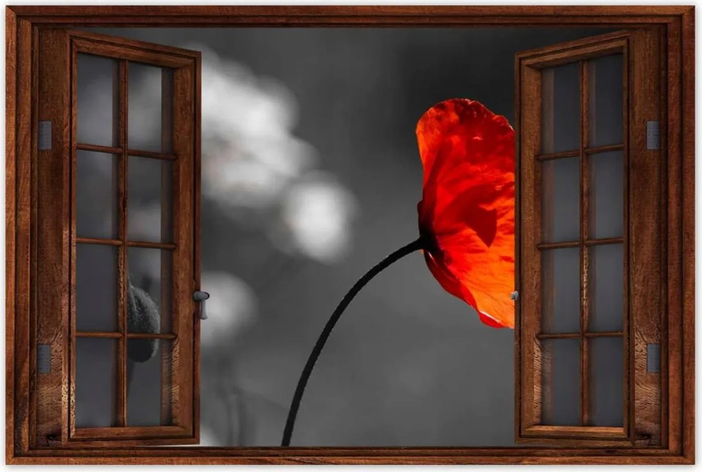 Poszterek 90x60 Virágzó piros pipacs