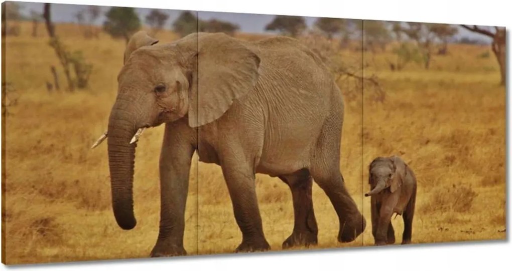 Vászonkép 180x90 Elefánt az anyjával