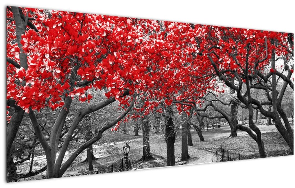 Kép - vörös fák,Central Park, New York (120x50 cm)