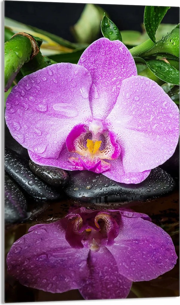 Üveg Vágódeszka 30x52 Orchidea Konyha