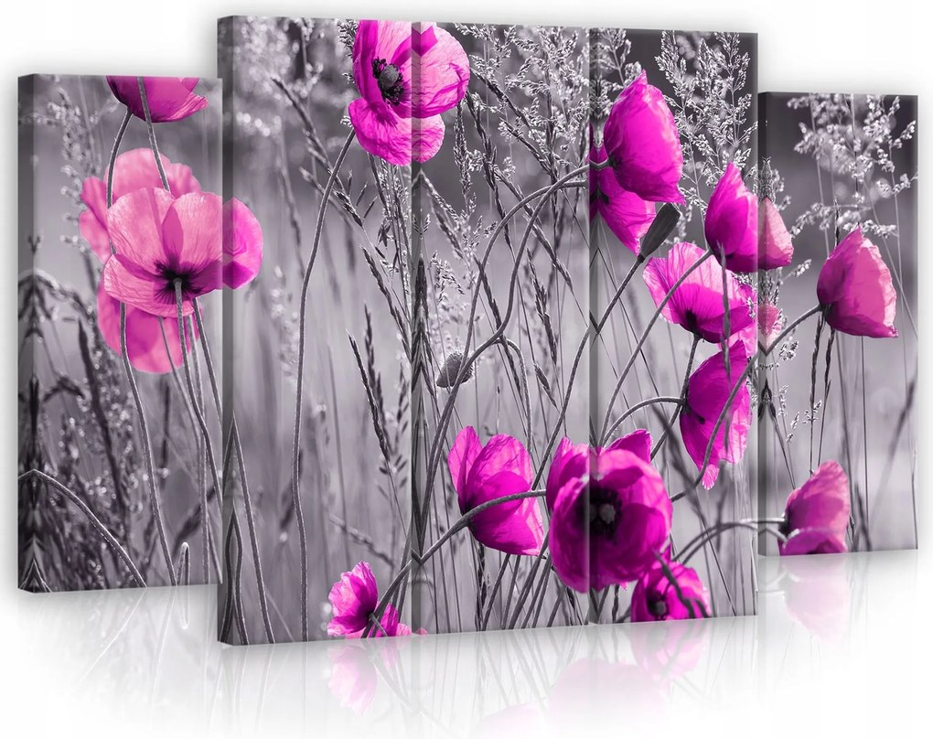 Vászonkép 150x100 Pipacsok virágok természet poliptych fekete-fehér akcentus rózsaszín