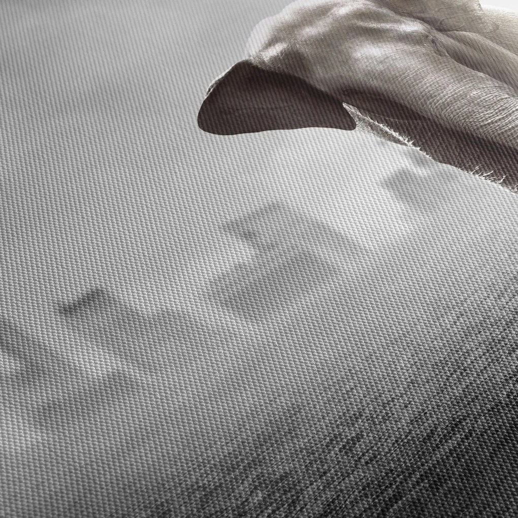 Kép -Elefánt egy nagyvárosban, fekete-fehér változat (120x50 cm)