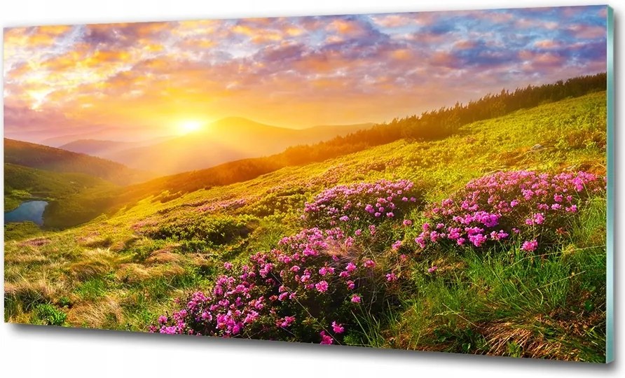 Fotótapéta üvegfalra Eper ikonok 125x50