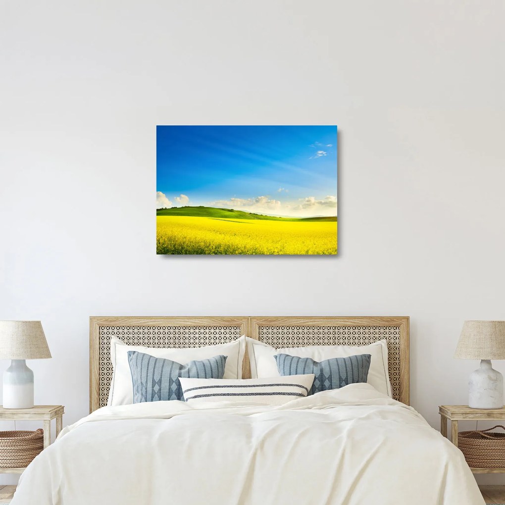 Kép - Tavaszi ég (üvegen) (70x50 cm)