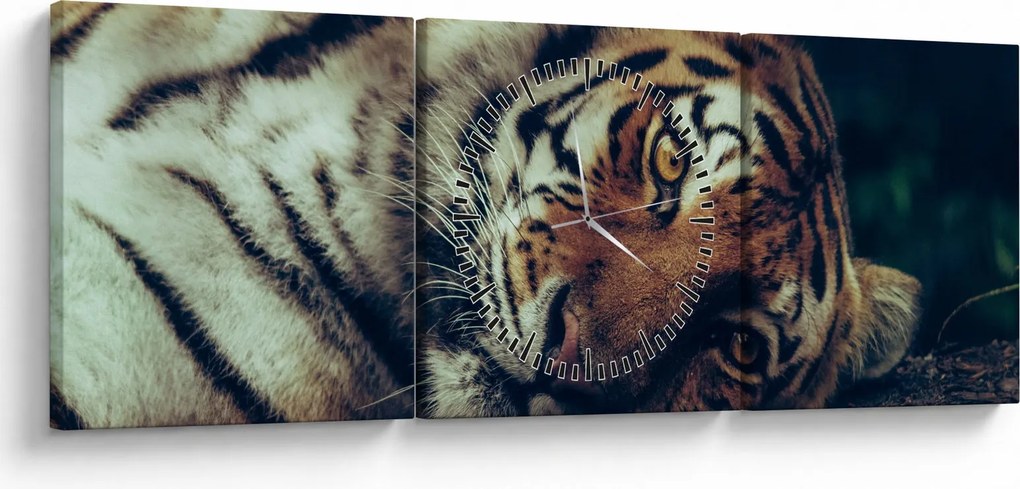 Kép - Szibériai tigris (órával) (90x30 cm)