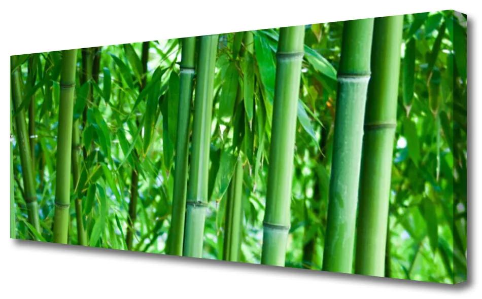 Canvas kép Bamboo Stem Plant 125x50 cm