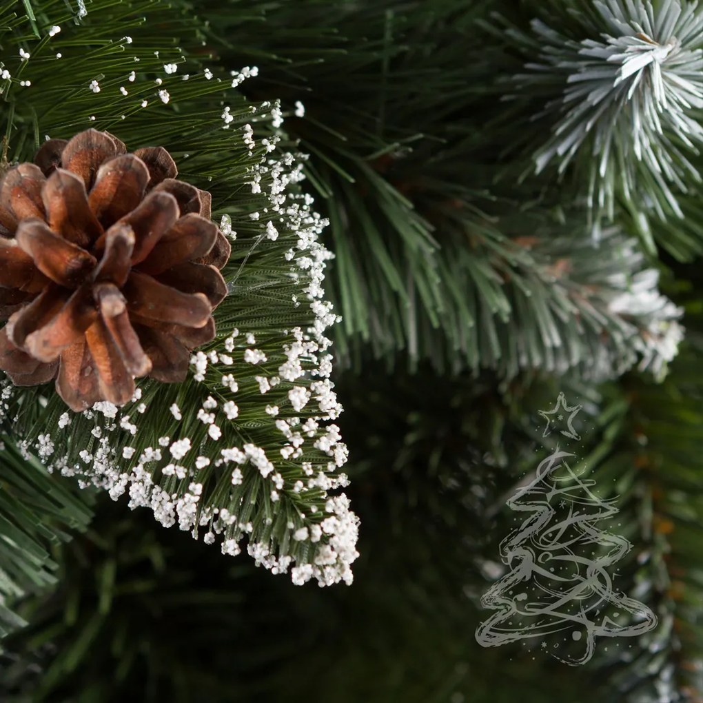 Karácsonyfa Fehér végű erdei fenyő 2D 250 cm